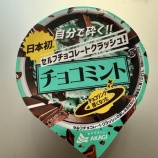 『チョコミント沼へようこそ。ごはんよりアイスが主食です。』の画像