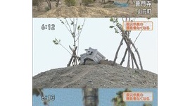 津波に耐えた観音像盗難…宮城