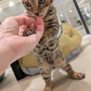 まだまだベビー👶♡