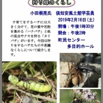 蘭越自然探検隊