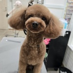 鹿児島県鹿児島市　ワンラブ　ニシムタ与次郎店　ブログ