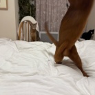 荒ぶるお姉ちゃんを呆然と見るわか坊