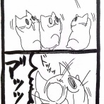新星☆ベランダからやってきた猫16