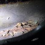 スタッフブログ｜ローバーミニ専門店キャメルオート