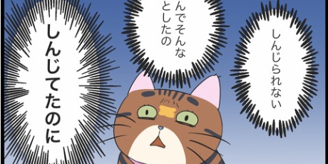 蓼食う虫もテキサス ねこちゃん Powered By ライブドアブログ