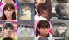 きょうは「世界カワウソの日」なんだってね…