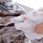 すらるど - 海外の反応