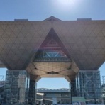 大蒜雑記