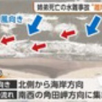 遠足の部屋