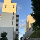 化学反応プログラムを一つ完成♪
