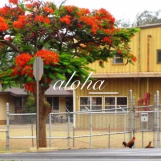 のほほん〜ハワイひとりごと♪