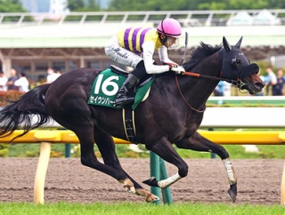 【中山記念】セイウンハーデスの１番人気とは何だったのか