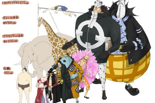 ワンピースの七武海の身長ｗｗｗｗｗｗｗｗｗｗｗ おたぽん