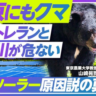 TBN　-Today's Best News-