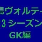 『徳島ヴォルティス2023年陣容 GK編』の画像
