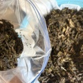 手前味噌創りや野草酵素　 スキンケアにも活用