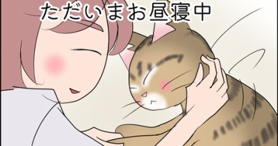 あんこ＆麦2478 ただいまお昼寝中