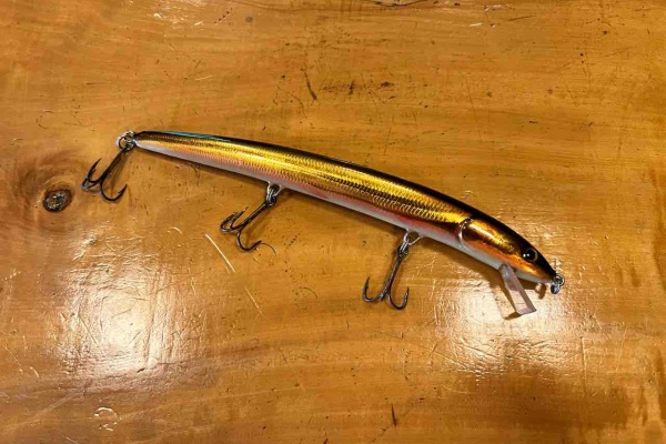 ORA Minnow Serendipity