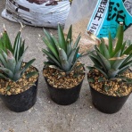 ひまチュンの機械ブログ