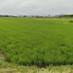 市原市に憲法と地方自治を活かす会