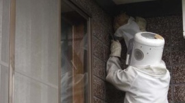 スズメバチの巣を駆除しようと火を使ったら家が火事に 住人の70代女性がハチに刺され軽傷