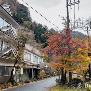 Tedious diary more x4