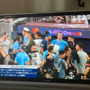 뤴Ӥ䤷ڡMLB륹ëʿҥå1ܡǸΥۡ˽Фߤäʤ