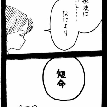 ドワーフキャットタオルちゃん4