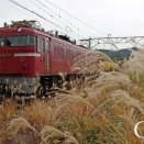 4572レを撮る　日豊本線　下ノ江　2008年10月30日