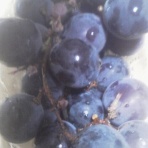 ストレス対処法研究所ブログ