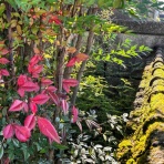 続・ゆるい生活