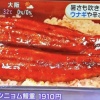 フジテレビ「ウナギにはこういう食べ方もあるんだ！」→大炎上…日本人「うなぎに失礼」