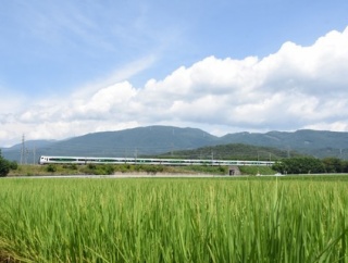 8月1日撮影　E257系5000番台による「あずさ71号」と「あずさ83号」より
