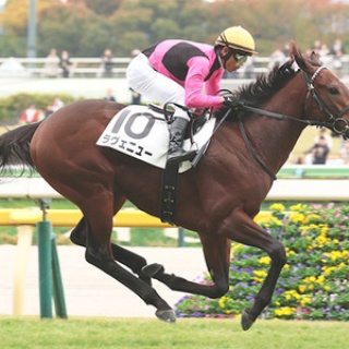 ☆うまなみ・競馬にゅーす速報