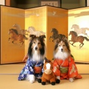 大晦日そして　おやまのドッグラン