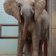 激怒プンプン丸な姉妹