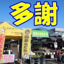 今年は頑張った