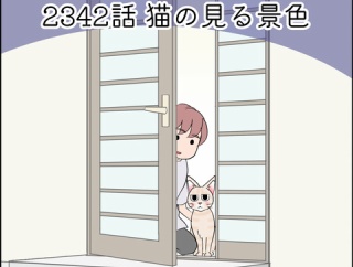 あんこ＆麦2342 猫の見る景色