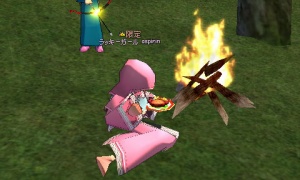 悲しすぎる一人キャンプシェアリング