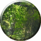『まいこの写メ日記』の画像