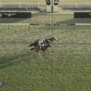 【競馬】クロワデュノール　有馬記念は見送り　斉藤崇師「また来年ですね」