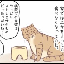 飼い猫を連れ帰ったものの・・・のまき