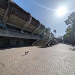 豆柴麦うた日記