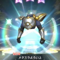 ふくびきで獲得した装備集