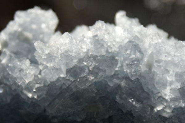 葉っぱがシェフ ｊｏｍｏｎ １０００年前の塩づくり