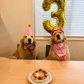 Happy Birthday IKURA 3才 !!