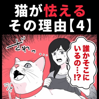 身近で起こった怖〜い話【猫が怯えるその理由・４】