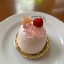 新商品✨さくら🌸です