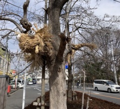 千葉県松戸市、柳原水閘と国分台の辻切り