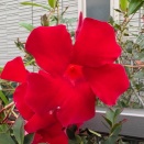 Today is Spanky's regular rihabilitation works！(^_^)